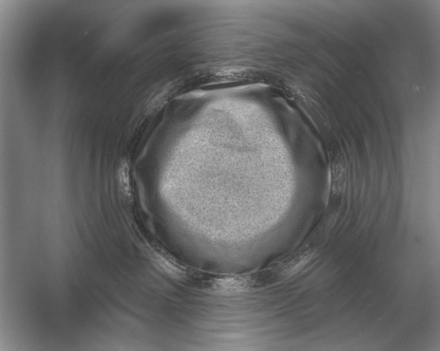 X0000056370238200509161902