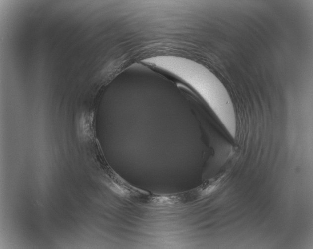 X0000056370239200509161902