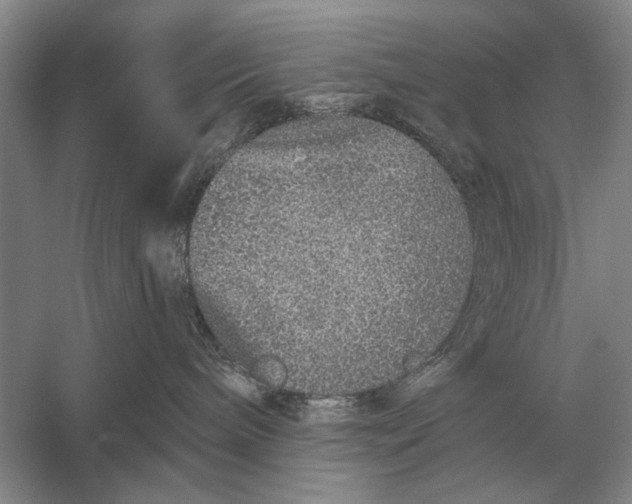 X0000056370240200509161902