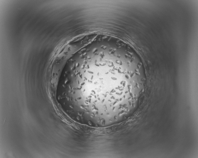 X0000056370241200509161902