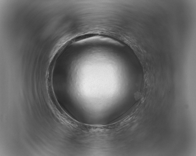 X0000056370242200509161902