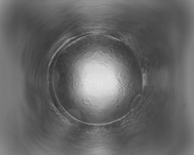 X0000056370243200509161902