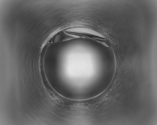 X0000056370244200509161902