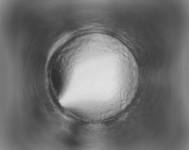 X0000056370245200509161902