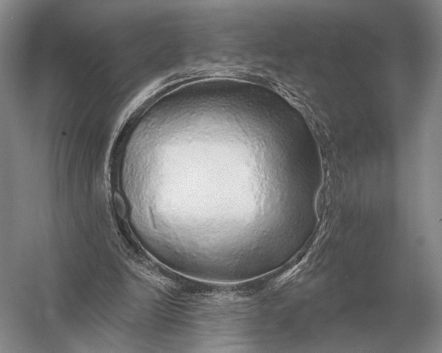 X0000056370246200509161902