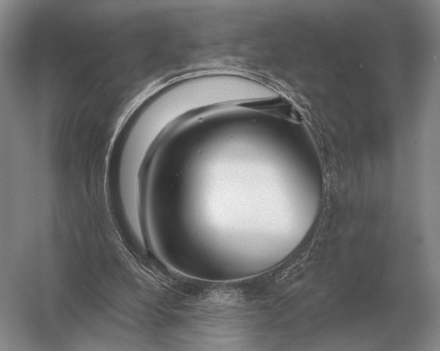 X0000056370248200509161902