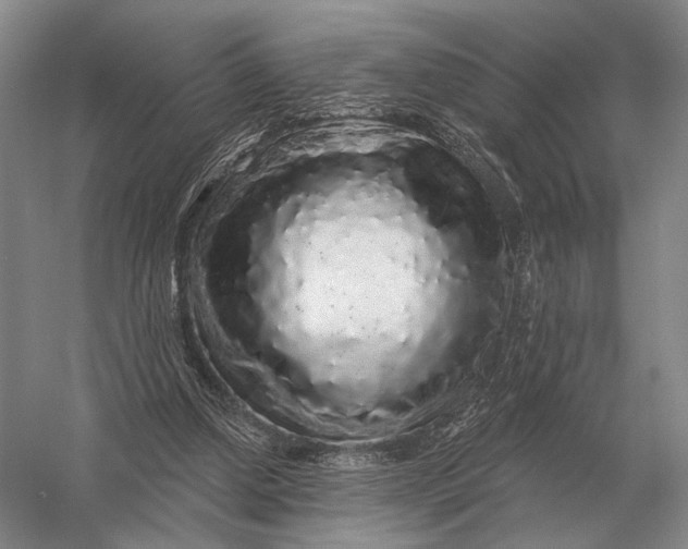 X0000056370250200509161902