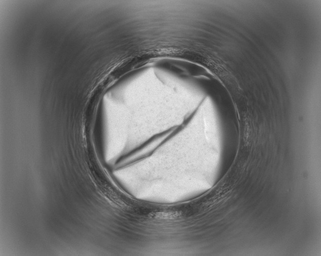 X0000056370251200509161902