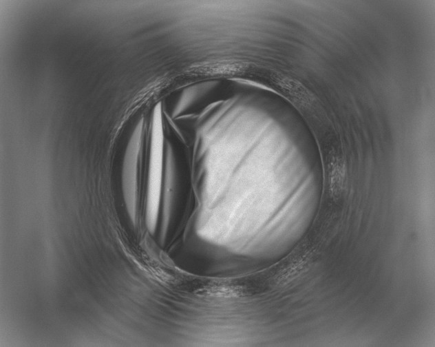 X0000056370254200509161902