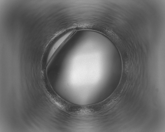 X0000056370256200509161902