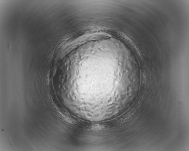 X0000056370257200509161902