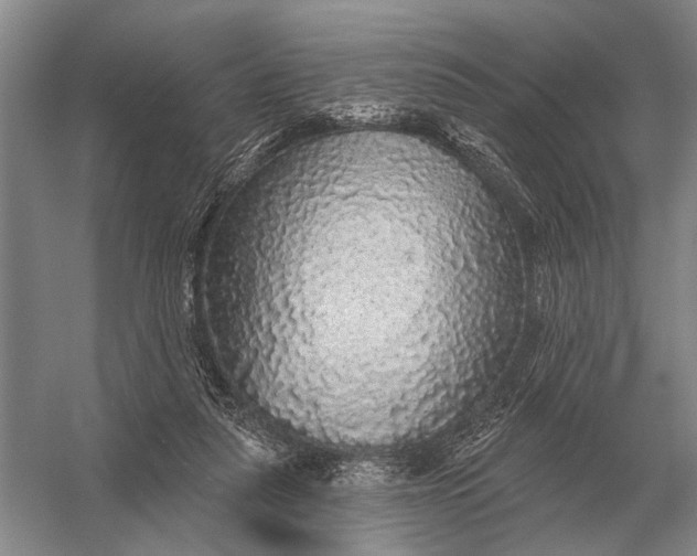 X0000056370259200509161902