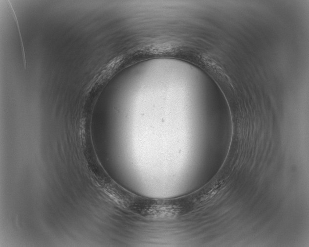 X0000056370260200509161902