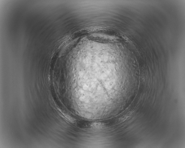 X0000056370261200509161902