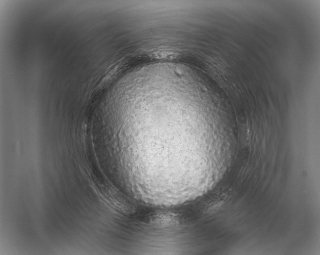 X0000056370263200509161902