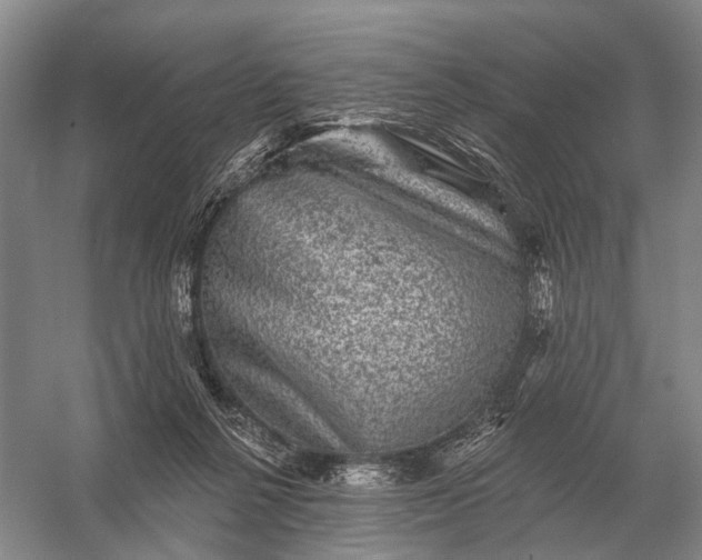 X0000056370264200509161902