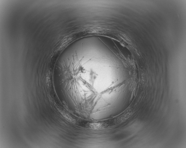 X0000056370265200509161902