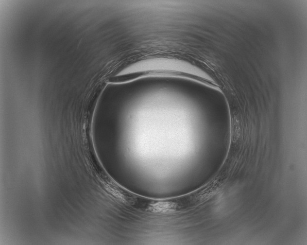 X0000056370269200509161902