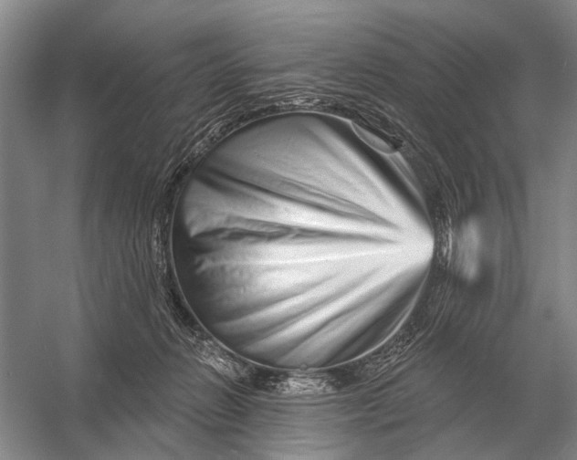 X0000056370270200509161902