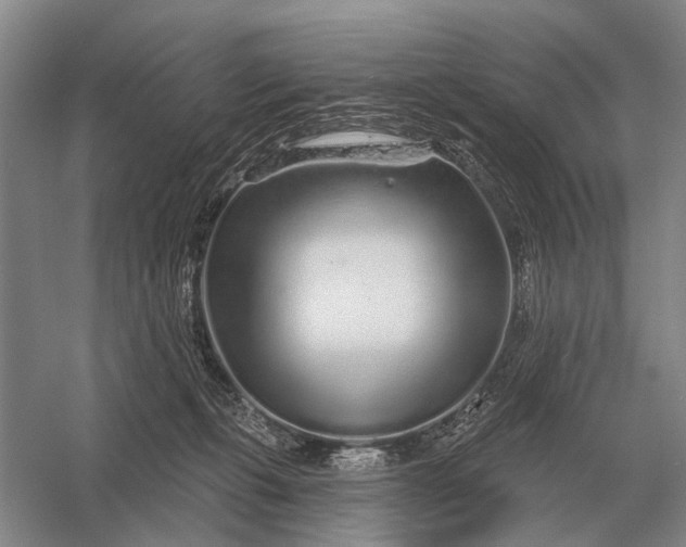 X0000056370271200509161902