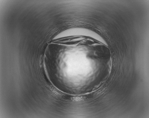 X0000056370273200509161902