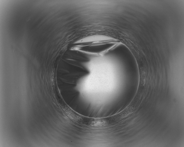 X0000056370274200509161902