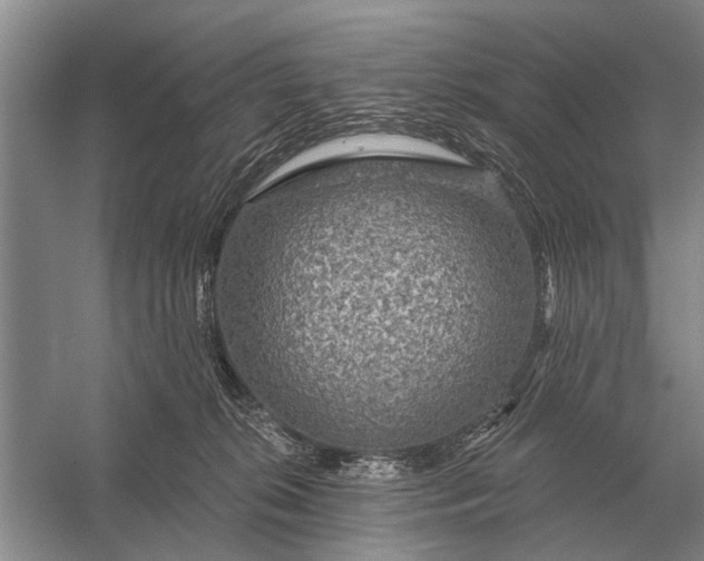 X0000056370276200509161902