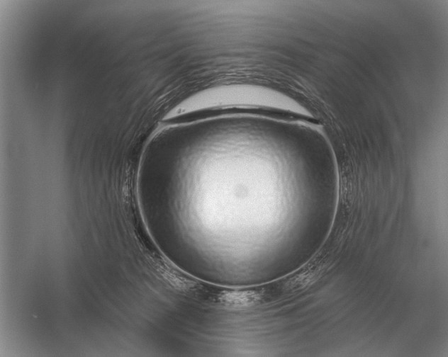 X0000056370277200509161902