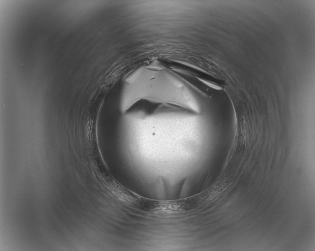 X0000056370278200509161902