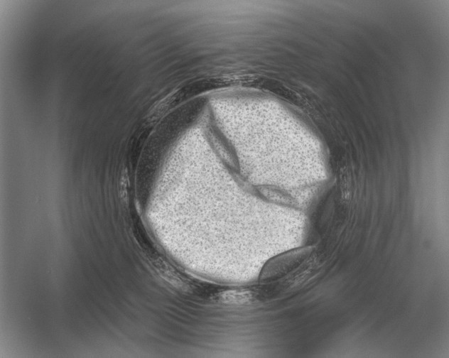 X0000056370279200509161902