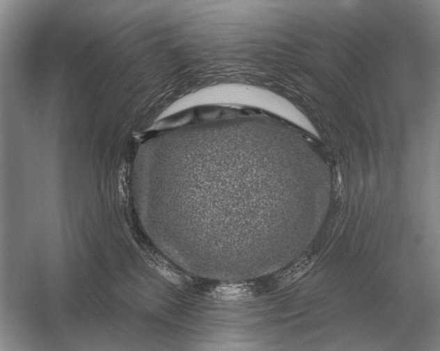 X0000056370280200509161902