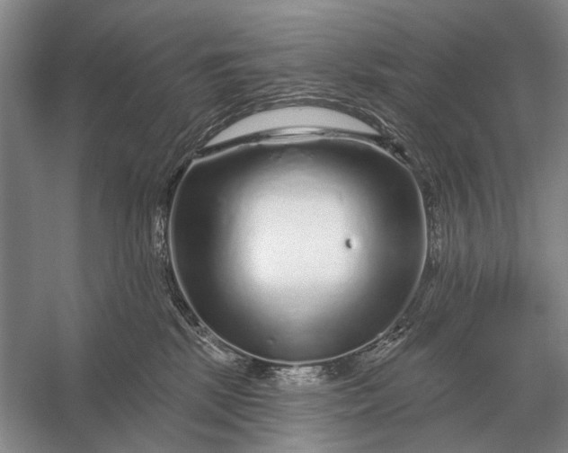 X0000056370281200509161902