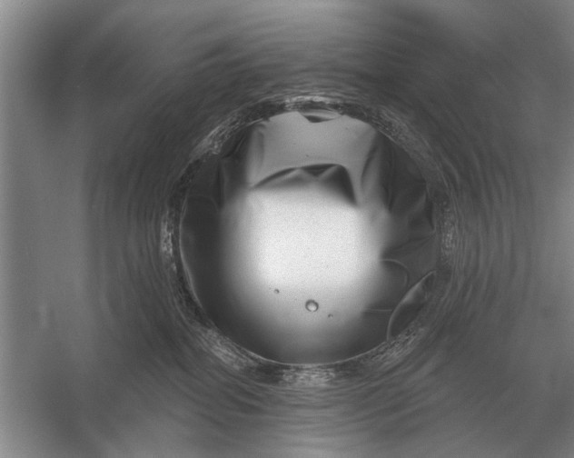 X0000056370282200509161902