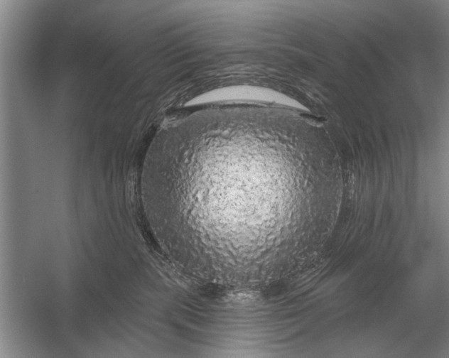 X0000056370283200509161902