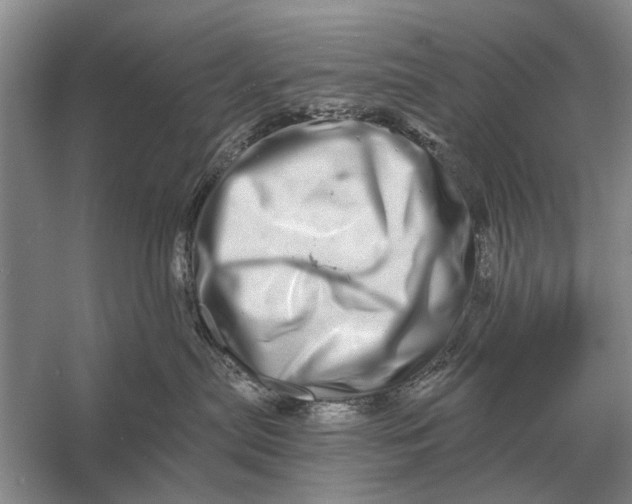 X0000056370287200509161902