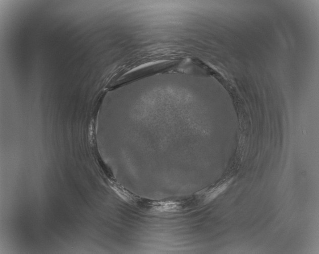 X0000056370288200509161902