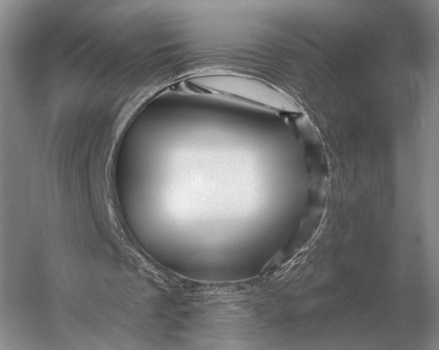 X0000056370289200509161901