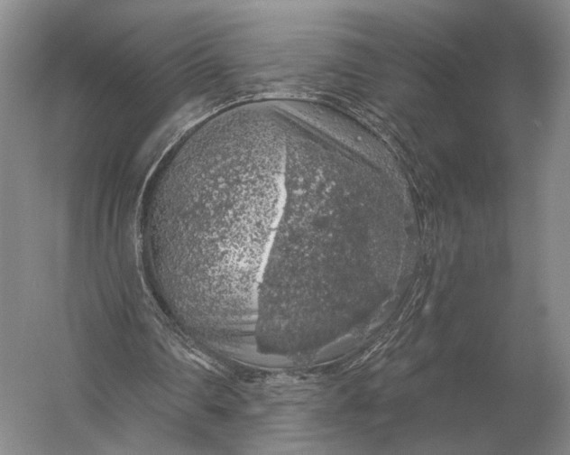 X0000056370290200509161901