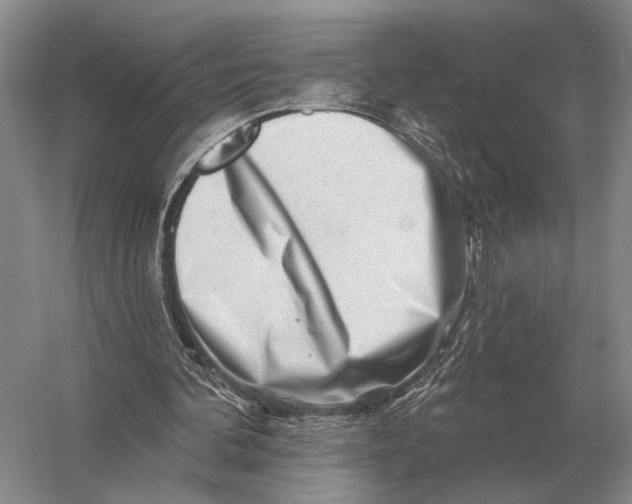 X0000056370292200509161901