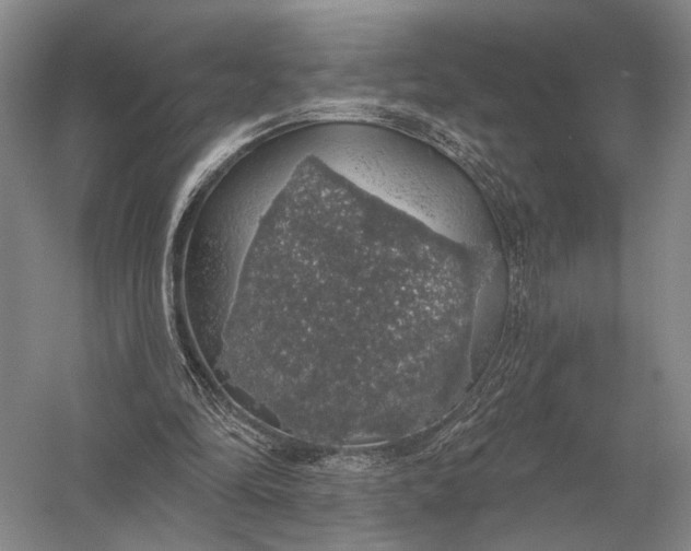 X0000056370294200509161901