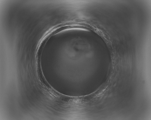 X0000056370295200509161901