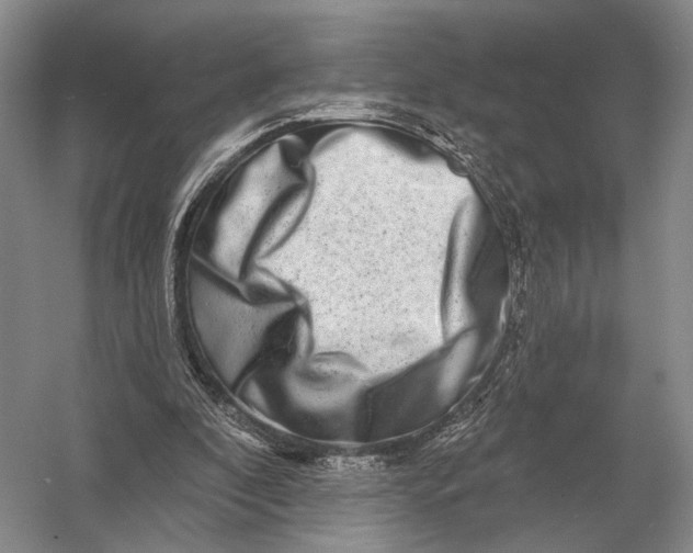 X0000056370296200509161901