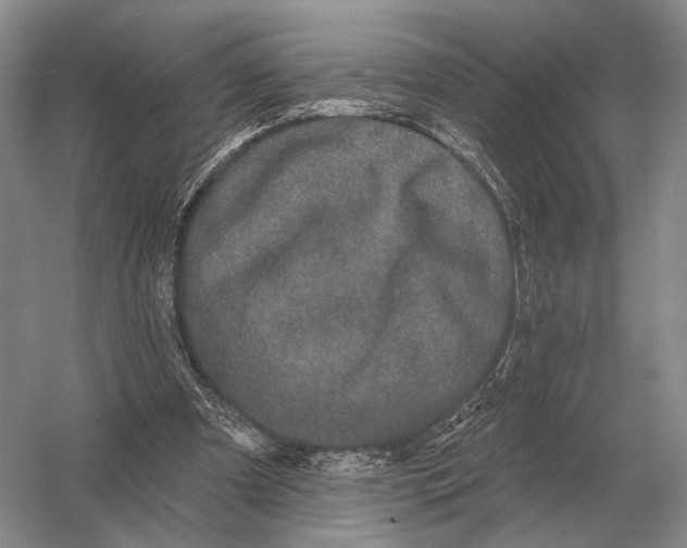 X0000056370297200509161901