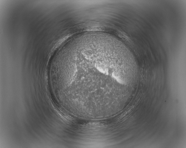 X0000056370298200509161901