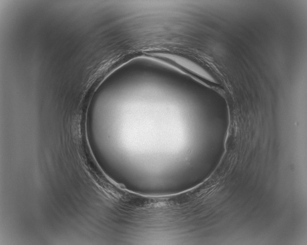 X0000056370299200509161901