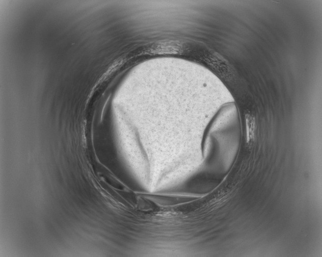 X0000056370300200509161901