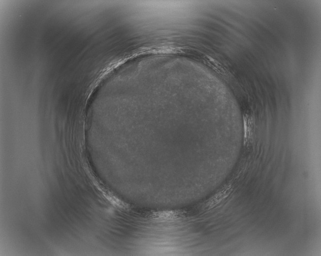 X0000056370301200509161901