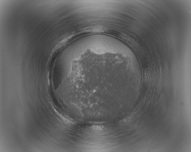 X0000056370302200509161901