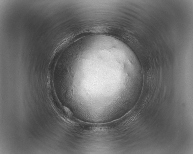 X0000056370303200509161901