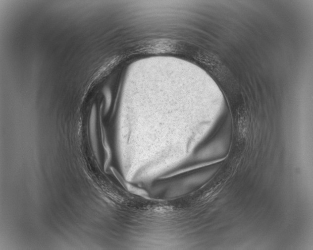 X0000056370304200509161901